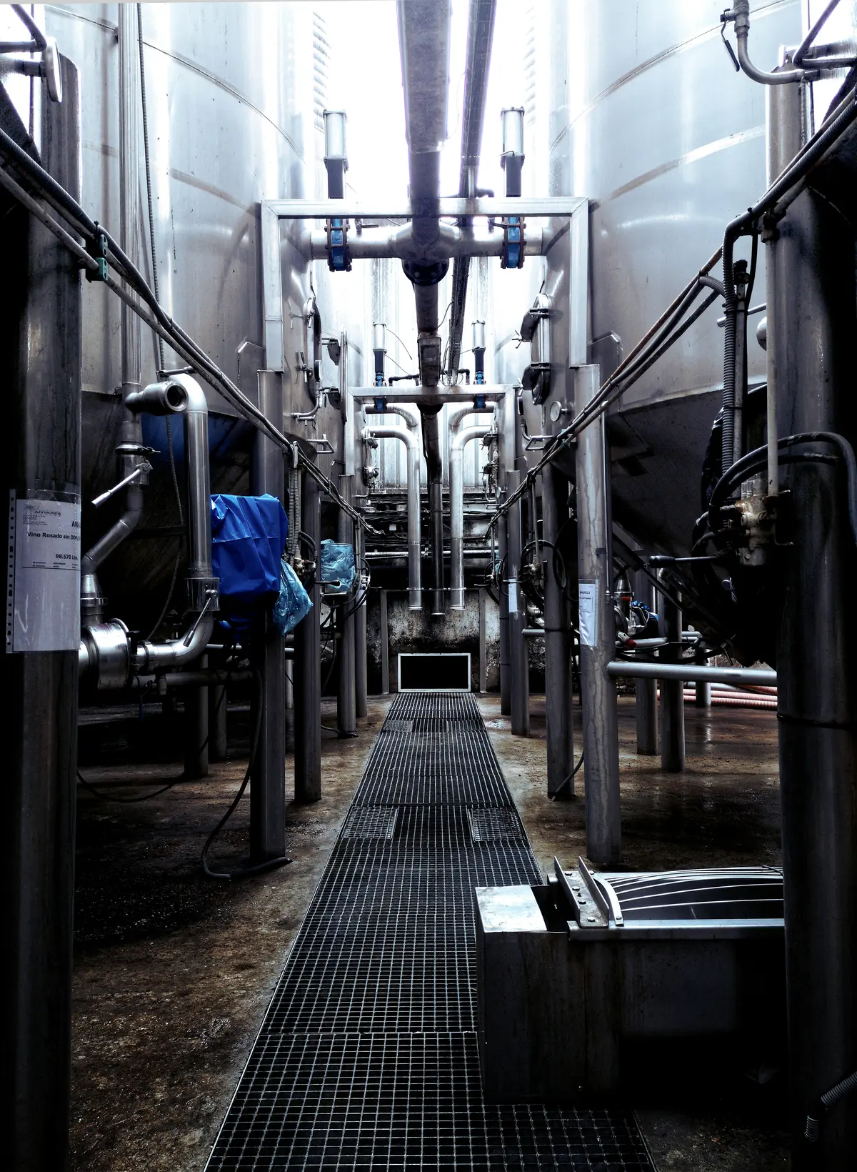 Edible oil pressing and refining machinery