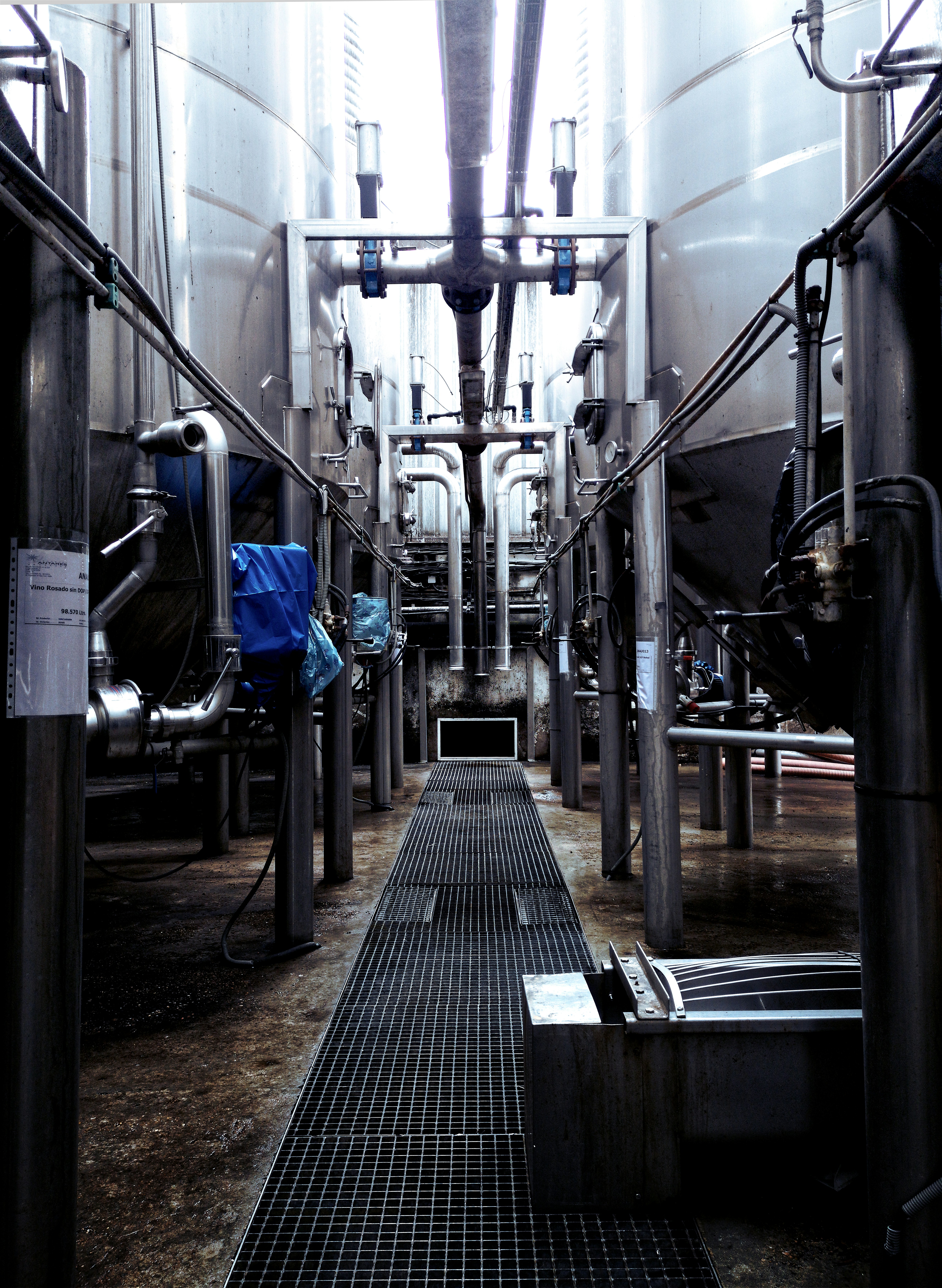 Edible Oil Refining